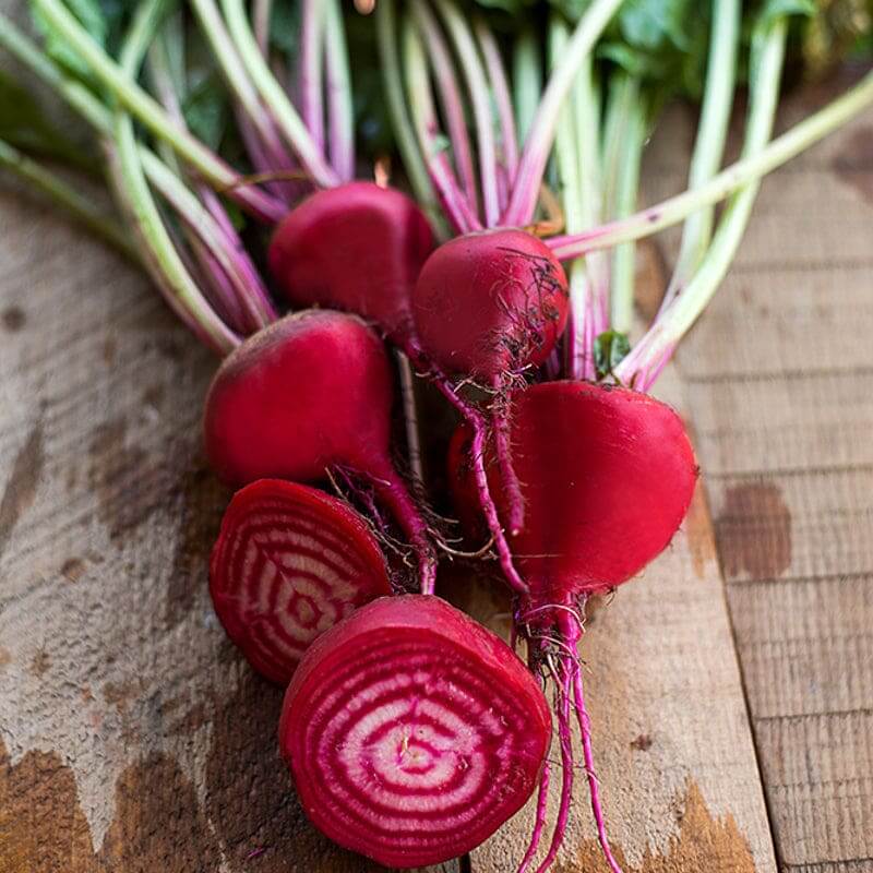 Chioggia beet seeds - Vegetable Plant