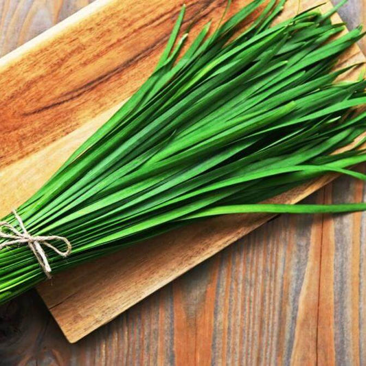 Chive Seeds - Herbal Plant for Home Gardens