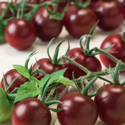 Chocolate Cherry Tomato Seeds - Vegetable Plant