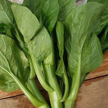 Choy Sum Seeds