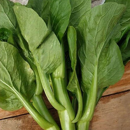 Choy Sum Seeds