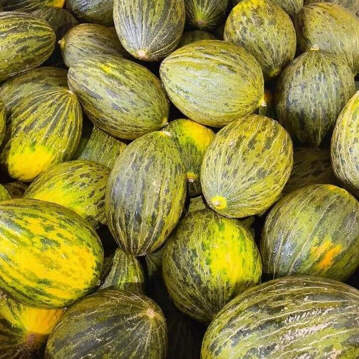 
Christmas Melon Seeds - Heirloom Fruit Plant for Home Gardens
