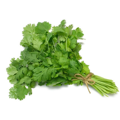 Cilantro seeds - Vegetable Plant