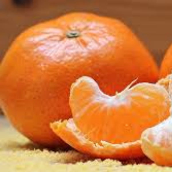 Clementines seeds - Fruit for Home Gardens