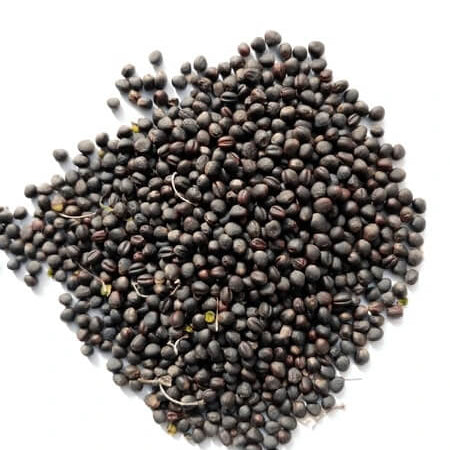 Collard seeds