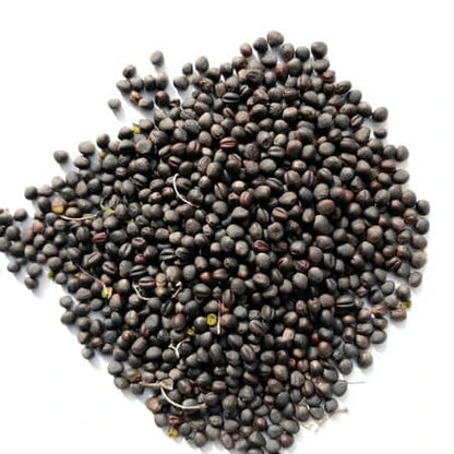 Collard seeds