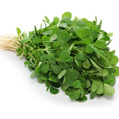 Common Fenugreek Seeds
