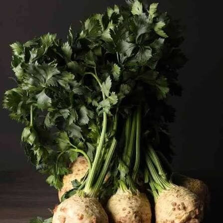 Compact Celeriac Seeds