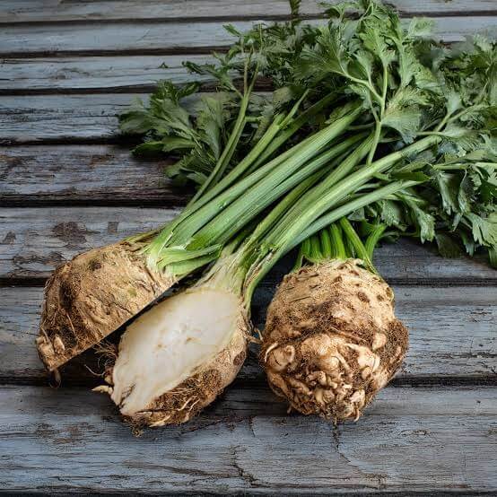 Compact Celeriac Seeds