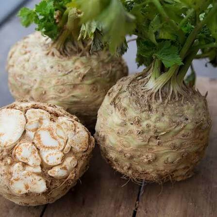Compact Celeriac Seeds