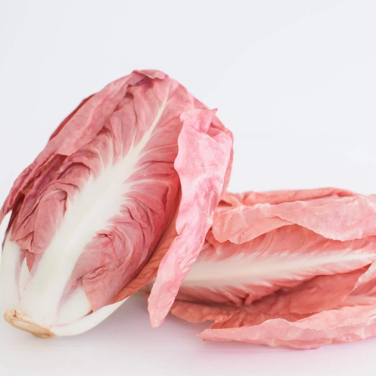 Compact Radicchio Seeds