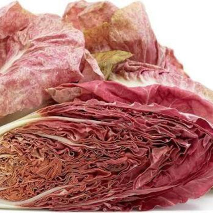Compact Radicchio Seeds