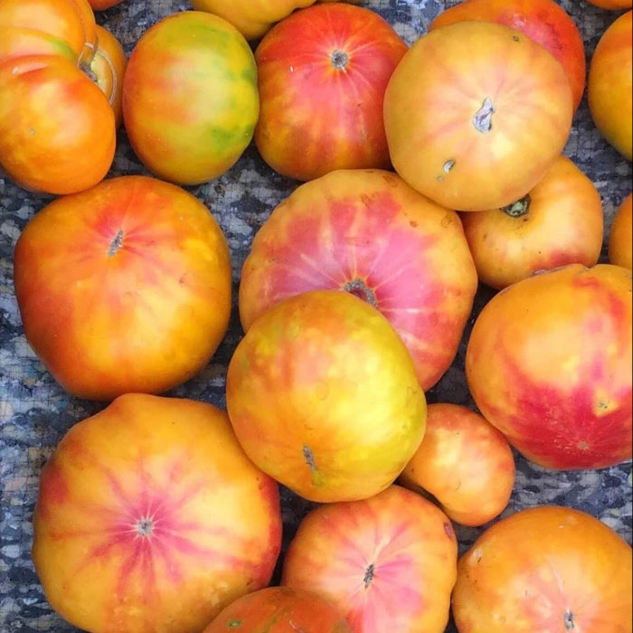 Copia Tomato Seeds