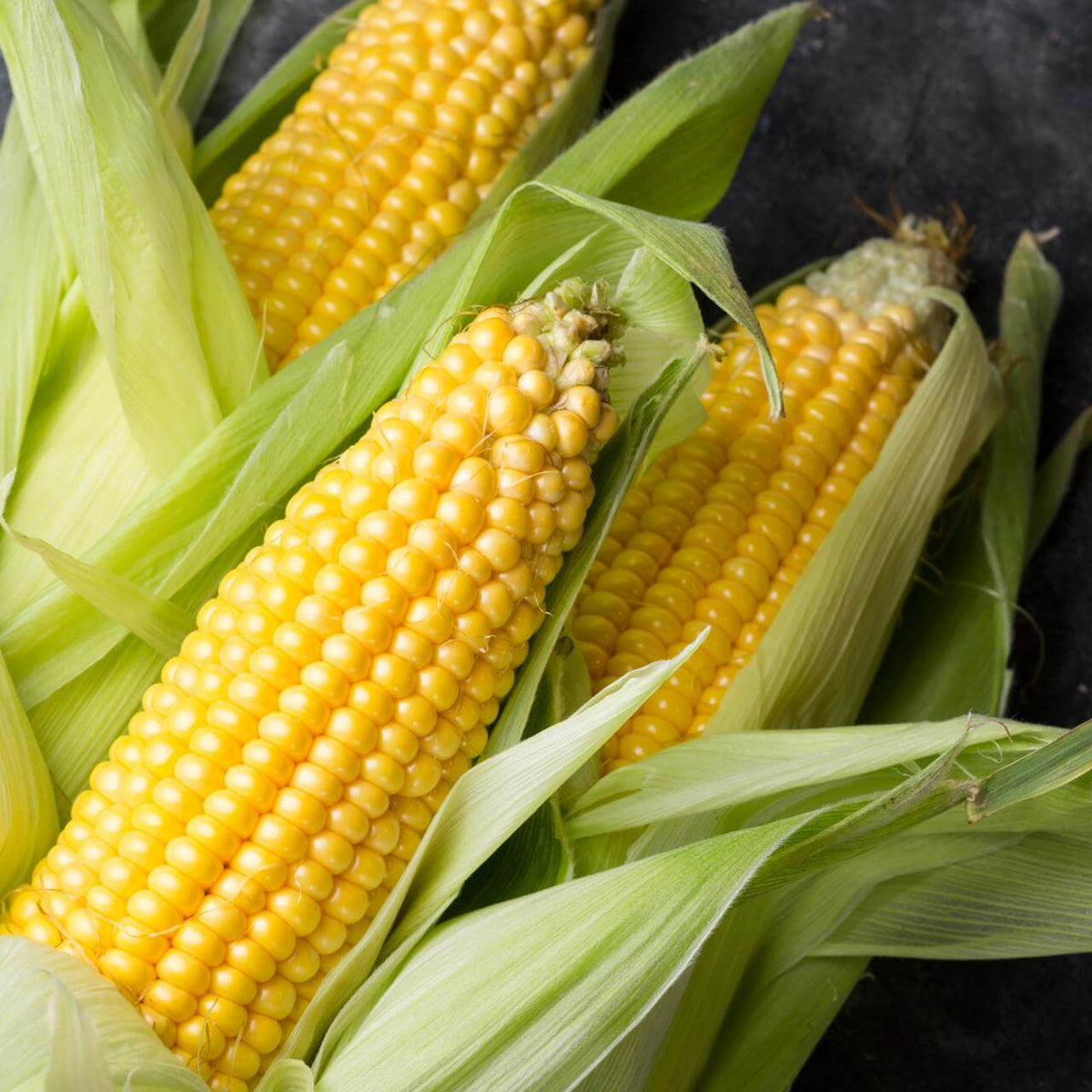 Corn Seeds - Heirloom Vegetable Plant for Home Gardens
