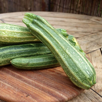 Costata Romanesco Zucchini Seeds - Vegetable Plant