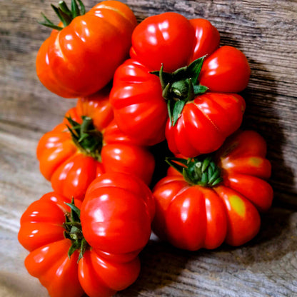 Costoluto genovese Tomato Seeds - Vegetable Plant