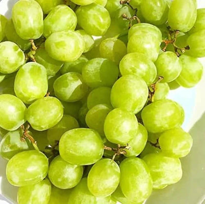Cotton Candy Grape Seeds 