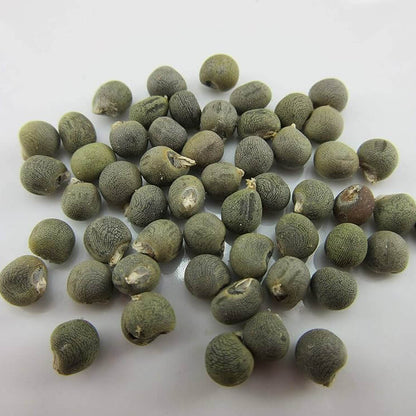 Cow Horn Okra Seeds