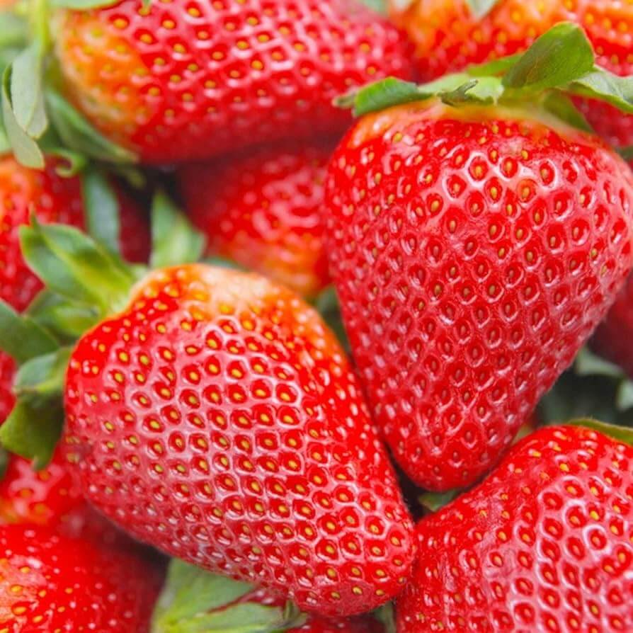 Cream Strawberry Seeds