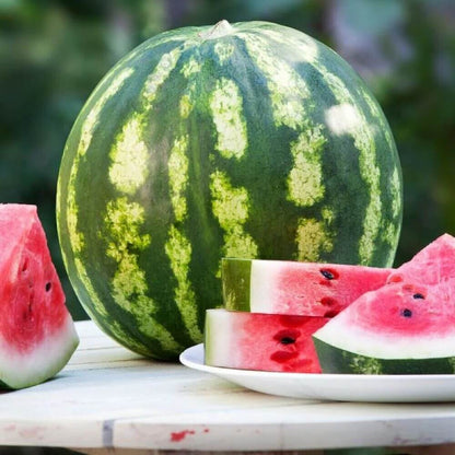 Crimson Sweet Watermelon Seeds - Fruit Plant