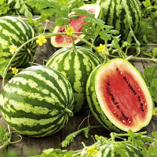Crimson Sweet Watermelon Seeds 