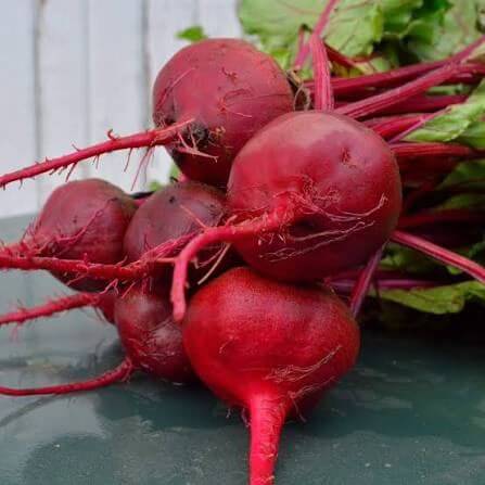 Crosby Egyptian Beet Seeds 