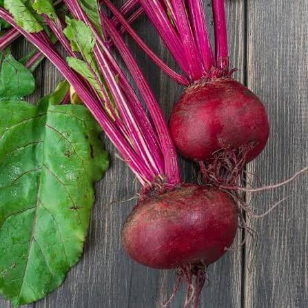 Crosby Egyptian Beet Seeds 
