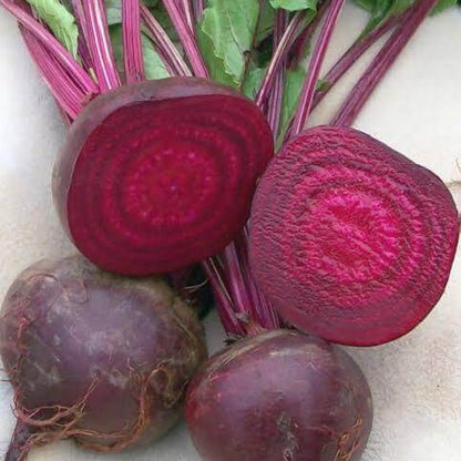 Crosby Egyptian Beet Seeds 