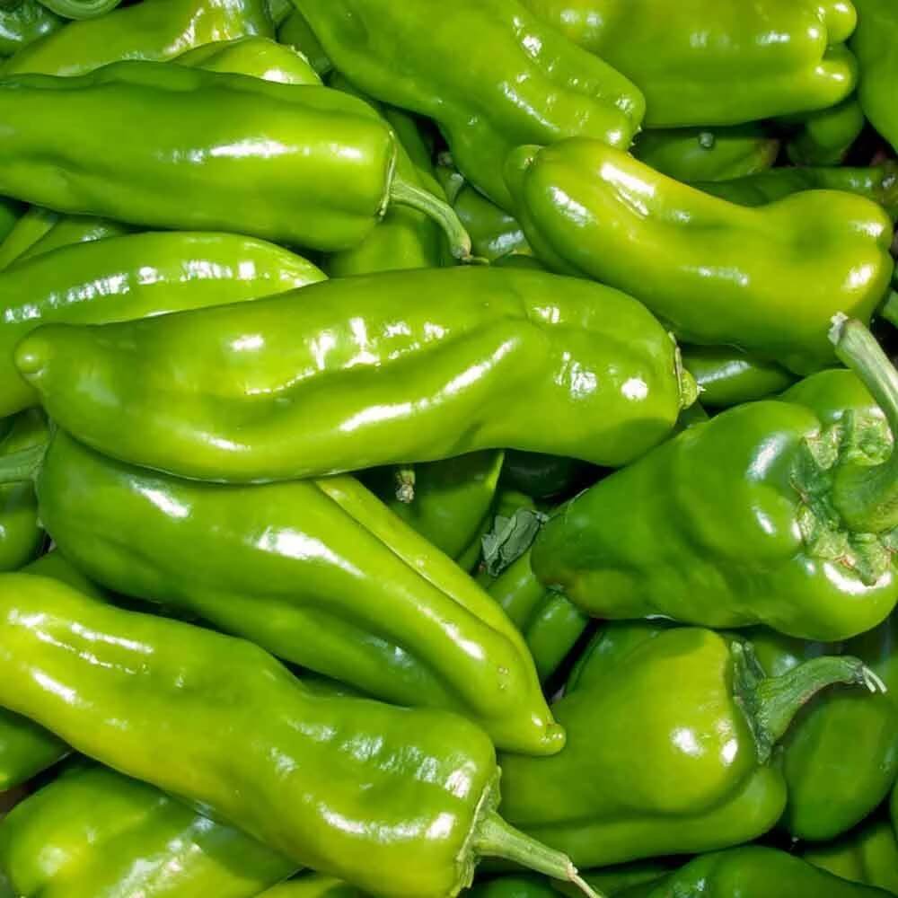 Cubanelle Pepper Seeds - Vegetable Plant