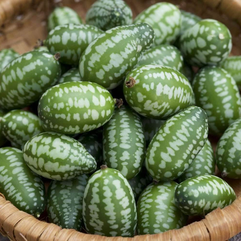 Cucamelon Seeds
