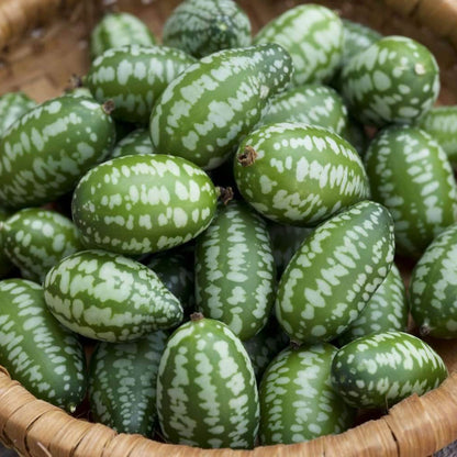 Cucamelon Seeds