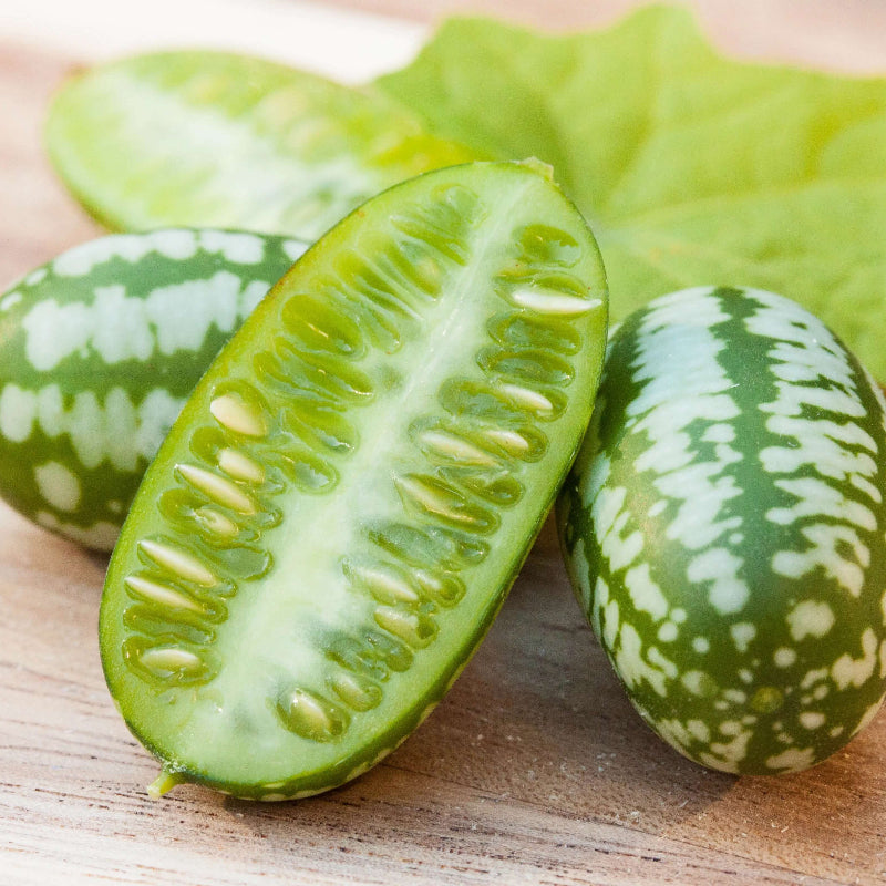 Cucamelon Seeds