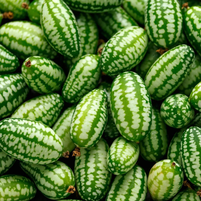 Cucamelon Seeds