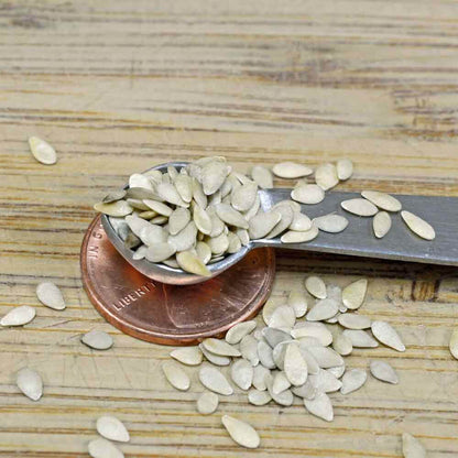 Cucamelon Seeds