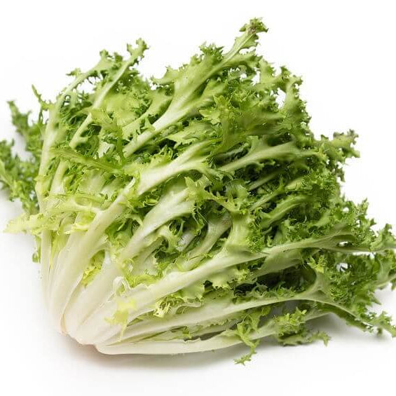Curly Endive Seeds