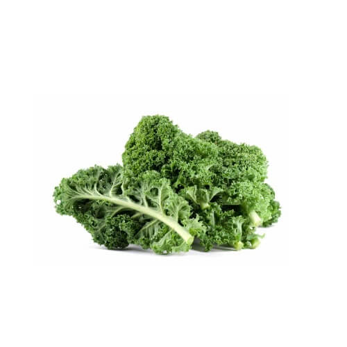 Curly kale seeds - Vegetable Plant