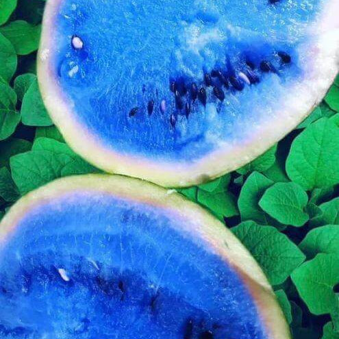 Dark Blue Watermelon Seeds