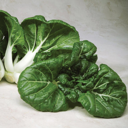 Dark Green Choi Bok Choy Seeds