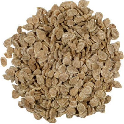 Dark Orange Giant Tomato Seeds 
