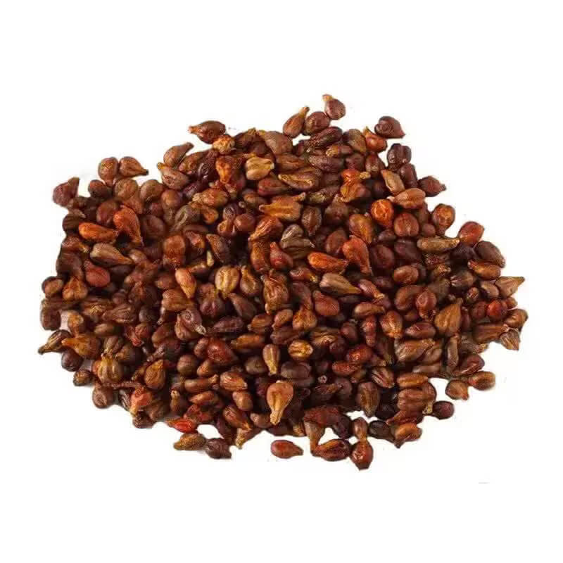 Dark Purple Grapes Seeds