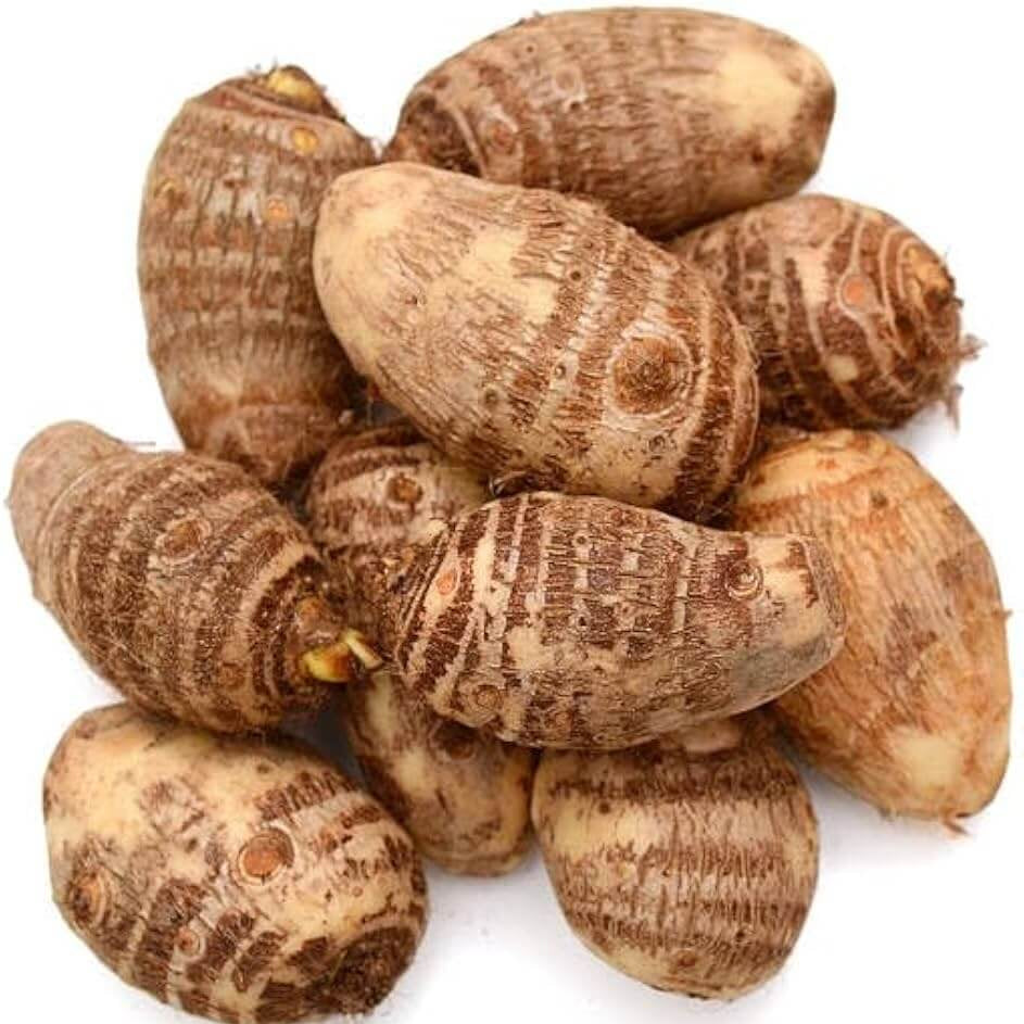 Dasheen Taro Seeds 
