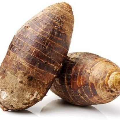 Dasheen Taro Seeds 