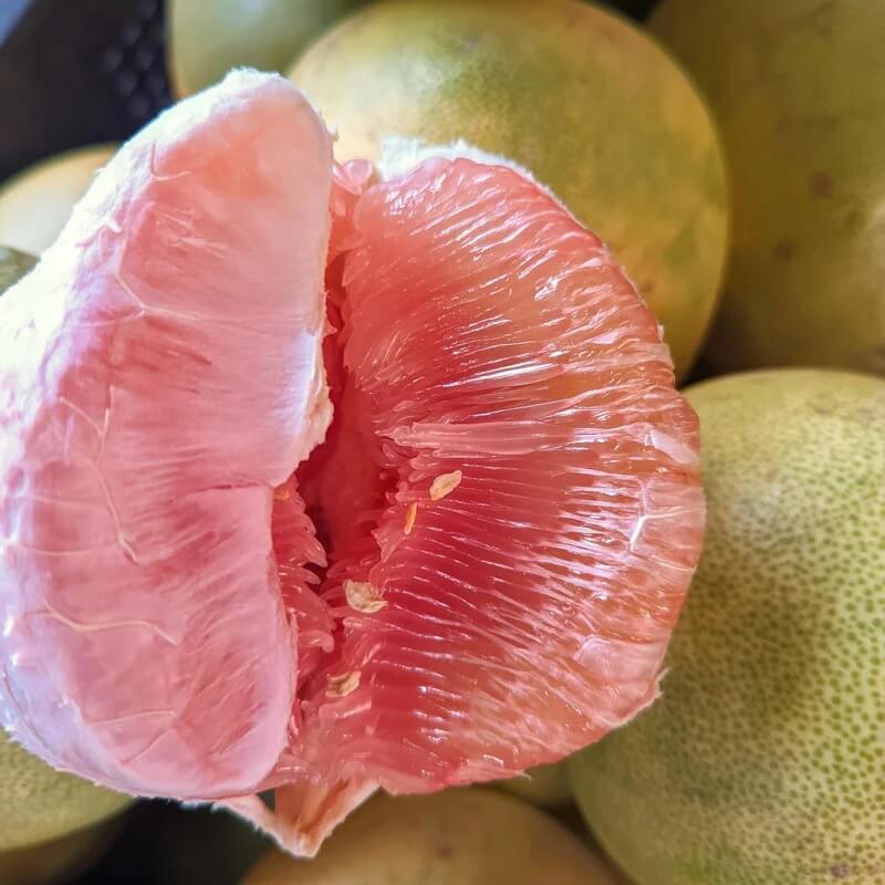 Davao Pomelo Seeds 