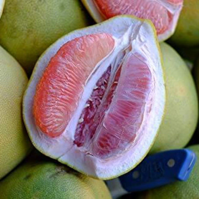Davao Pomelo Seeds 
