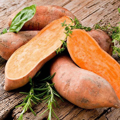 Deep Orange Sweet Potato Seeds