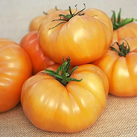 Deep Yellow Tomato Seeds