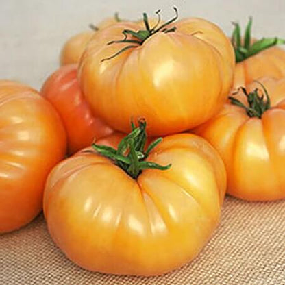 Deep Yellow Tomato Seeds