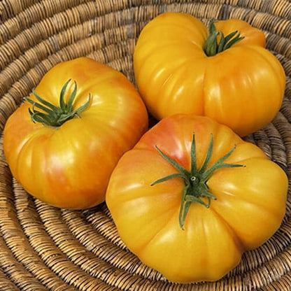 Deep Yellow Tomato Seeds