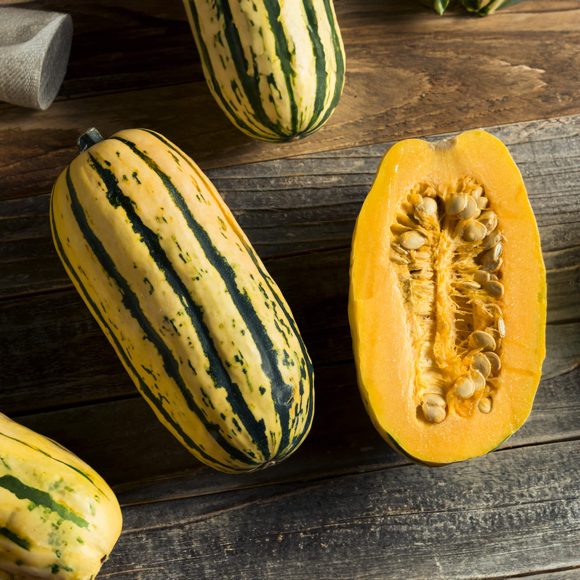 Delicata Squash Seeds 