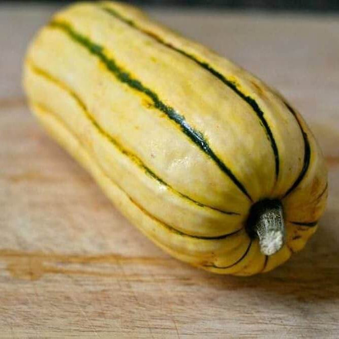 Delicata squash seeds - Vegetable Plant